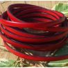 Cuir plat 5mm rouge
