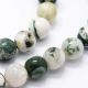Fil de 47 perles rondes en agate naturelle vert et blanc 8mm